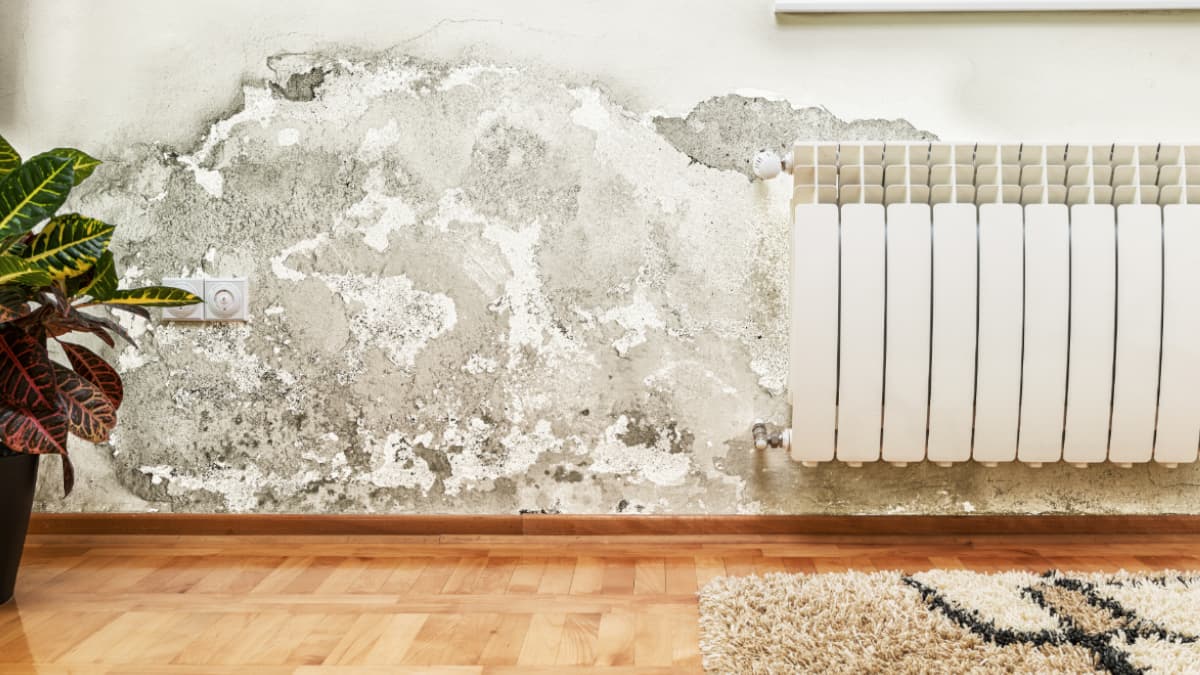 Misuratore di umidità per muri pavimenti mattoni - Fornid
