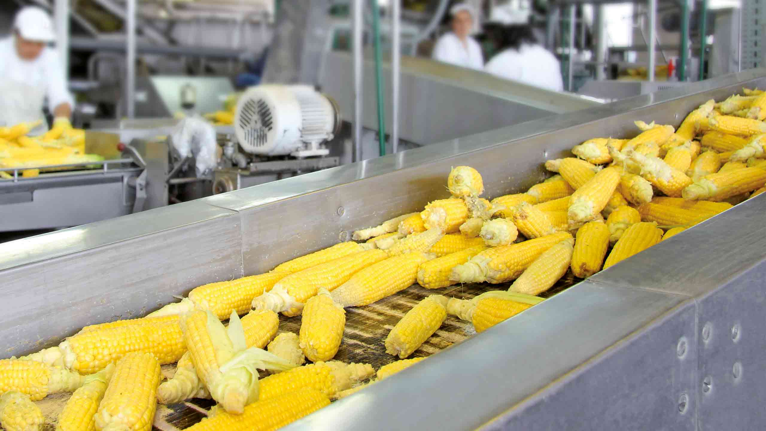 L’impiego dei lubrificanti nell'industria alimentare (2)