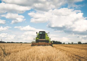 Quali sono le risorse in arrivo per l'agricoltura? Nuovi incentivi: dal PAC al Recovery