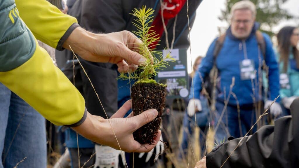Leggi subito l'articolo Dove nascono nuove radici: il viaggio della Foresta Würth